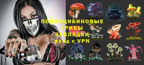 амф Горнозаводск