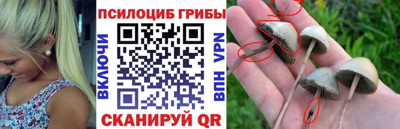 Галлюциногенные грибы прущие грибы  Дмитриев 